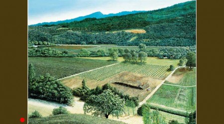 Sterling Vineyards Landscape